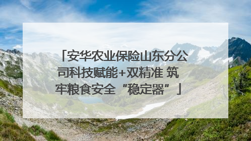 安华农业保险山东分公司科技赋能+双精准 筑牢粮食安全“稳定器”
