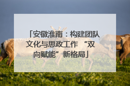 安徽淮南：构建团队文化与思政工作 “双向赋能”新格局