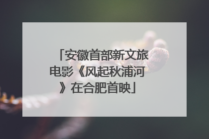 安徽首部新文旅电影《风起秋浦河》在合肥首映