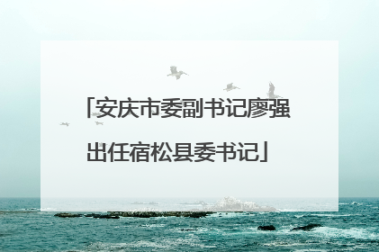 安庆市委副书记廖强出任宿松县委书记