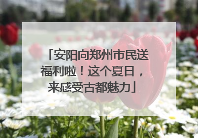安阳向郑州市民送福利啦！这个夏日，来感受古都魅力