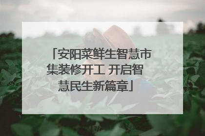 安阳菜鲜生智慧市集装修开工 开启智慧民生新篇章