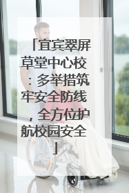 宜宾翠屏草堂中心校：多举措筑牢安全防线，全方位护航校园安全