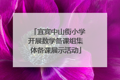 宜宾中山街小学开展数学备课组集体备课展示活动