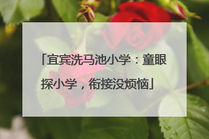 宜宾洗马池小学：童眼探小学，衔接没烦恼