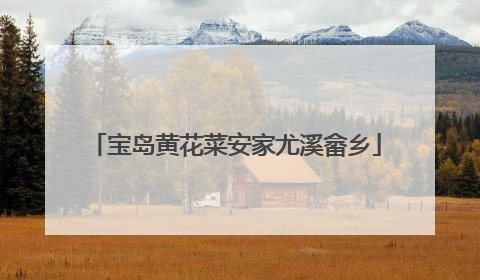 宝岛黄花菜安家尤溪畲乡