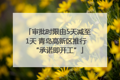 审批时限由5天减至1天 青岛高新区推行“承诺即开工”