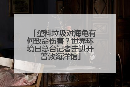 塑料垃圾对海龟有何致命伤害？世界环境日总台记者走进开普敦海洋馆