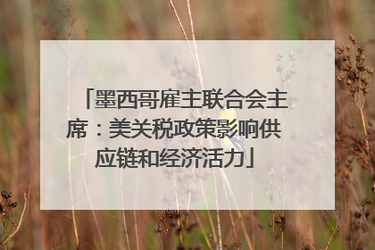 墨西哥雇主联合会主席：美关税政策影响供应链和经济活力