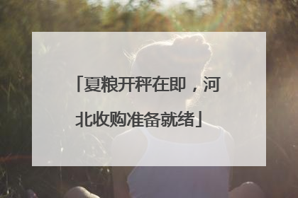 夏粮开秤在即，河北收购准备就绪