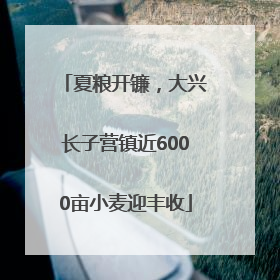 夏粮开镰，大兴长子营镇近6000亩小麦迎丰收
