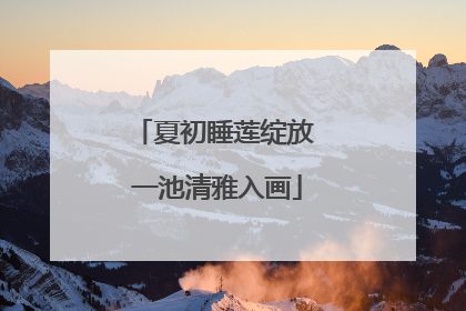 夏初睡莲绽放 一池清雅入画
