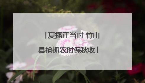夏播正当时 竹山县抢抓农时保秋收