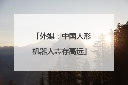 外媒：中国人形机器人志存高远