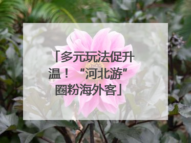 多元玩法促升温！“河北游”圈粉海外客