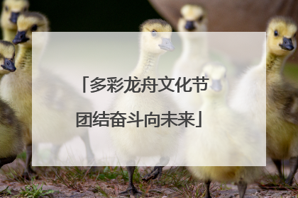 多彩龙舟文化节 团结奋斗向未来