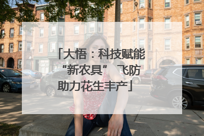 大悟：科技赋能“新农具” 飞防助力花生丰产