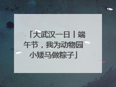 大武汉一日丨端午节，我为动物园小矮马做粽子