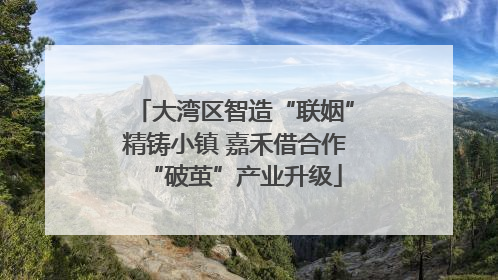 大湾区智造“联姻”精铸小镇 嘉禾借合作“破茧”产业升级