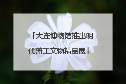 大连博物馆推出明代藩王文物精品展