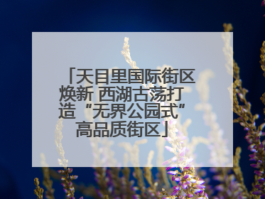 天目里国际街区焕新 西湖古荡打造“无界公园式”高品质街区