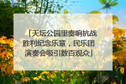 天坛公园里奏响抗战胜利纪念乐章，民乐团演奏会吸引数百观众