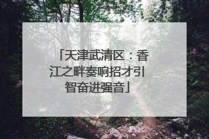 天津武清区：香江之畔奏响招才引智奋进强音