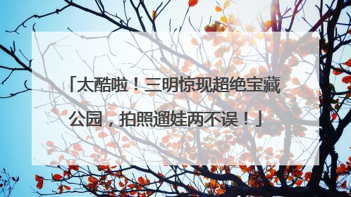 太酷啦！三明惊现超绝宝藏公园，拍照遛娃两不误！