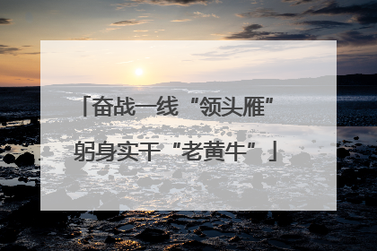 奋战一线“领头雁” 躬身实干“老黄牛”