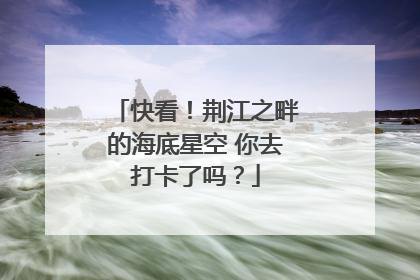 快看！荆江之畔的海底星空 你去打卡了吗？