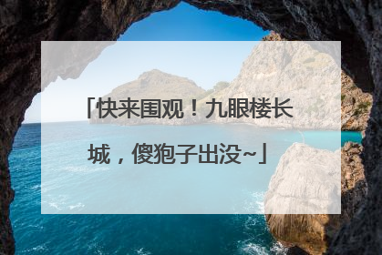 快来围观！九眼楼长城，傻狍子出没~
