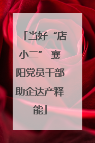 当好“店小二” 襄阳党员干部助企达产释能