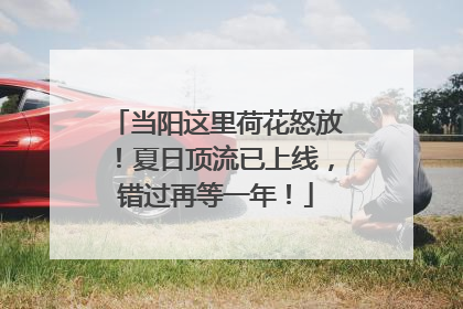 当阳这里荷花怒放！夏日顶流已上线，错过再等一年！