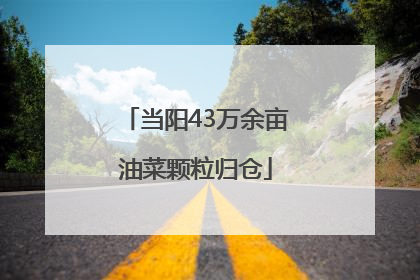 当阳43万余亩油菜颗粒归仓