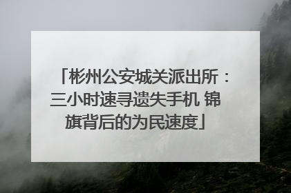 彬州公安城关派出所：三小时速寻遗失手机 锦旗背后的为民速度