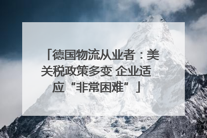德国物流从业者：美关税政策多变 企业适应“非常困难”