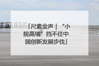 尺素金声｜“小院高墙”挡不住中国创新发展步伐
