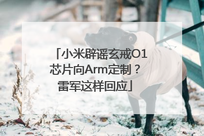 小米辟谣玄戒O1芯片向Arm定制？雷军这样回应