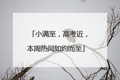 小满至，高考近，本周热闻如约而至