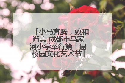 小马奔腾，致和尚美 成都市马家河小学举行第十届校园文化艺术节
