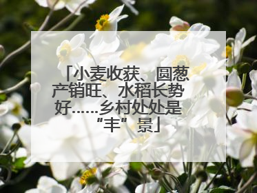 小麦收获、圆葱产销旺、水稻长势好……乡村处处是“丰”景