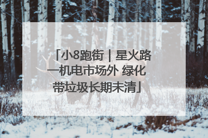 小8跑街｜星火路一机电市场外 绿化带垃圾长期未清