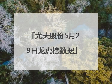 尤夫股份5月29日龙虎榜数据