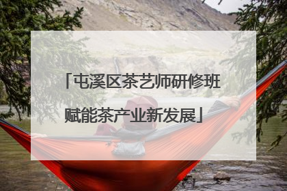 屯溪区茶艺师研修班赋能茶产业新发展