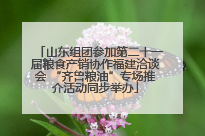 山东组团参加第二十一届粮食产销协作福建洽谈会 “齐鲁粮油”专场推介活动同步举办