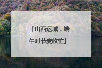 山西运城：端午时节麦收忙