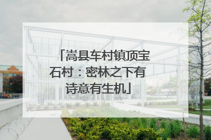 嵩县车村镇顶宝石村：密林之下有诗意有生机