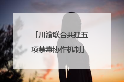 川渝联合共建五项禁毒协作机制