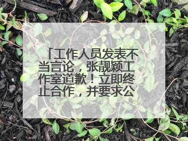 工作人员发表不当言论，张靓颖工作室道歉！立即终止合作，并要求公司严肃处理