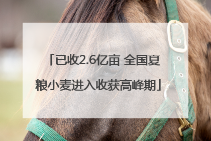 已收2.6亿亩 全国夏粮小麦进入收获高峰期